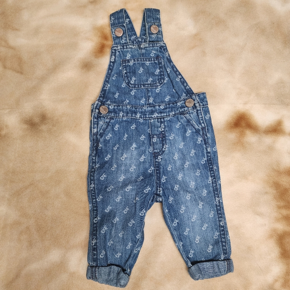 Old Navy Floral Denim Overalls